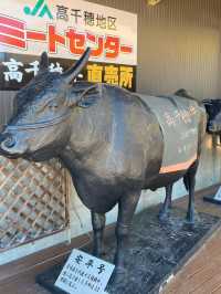 【高千穂】肉の甘さの追求✨素晴らしい高千穂牛👏