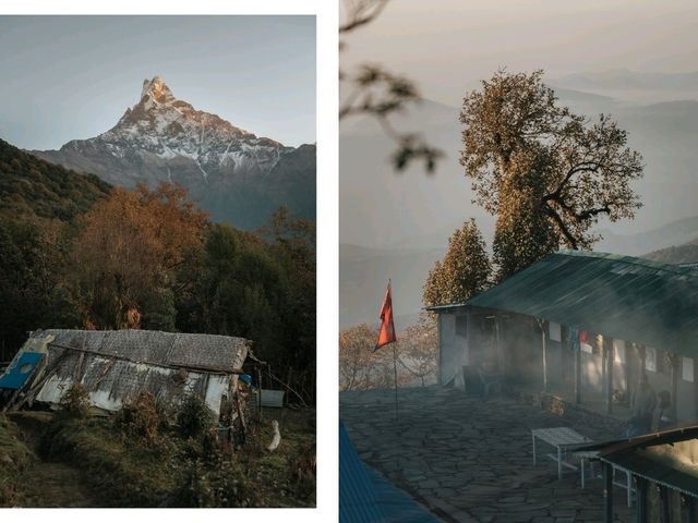 Day 3 Mardi Himal (Low Camp - High Camp)