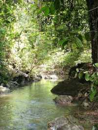 Danum Valley Conservation Area