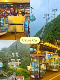 10 ไฮไลท์ในสวนสนุกระดับโลก Ocean Park HongKong 🎠