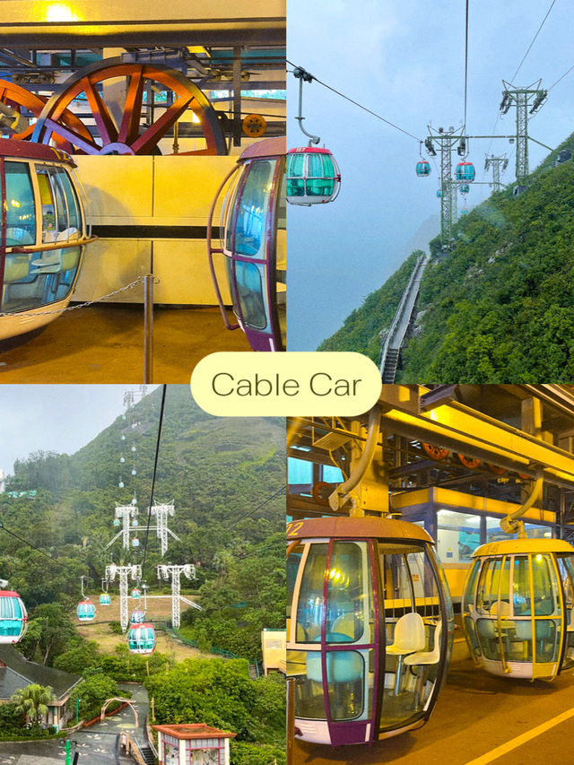 10 ไฮไลท์ในสวนสนุกระดับโลก Ocean Park HongKong 🎠