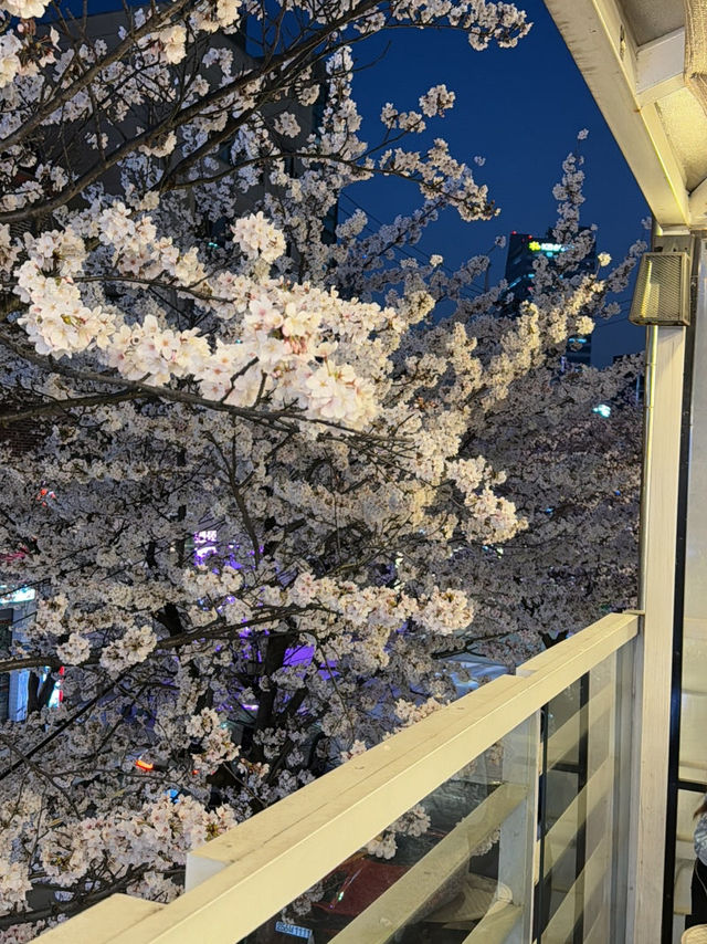 합정 벚꽃 뷰 대형 카페 ‘카페미뇽 합정점’