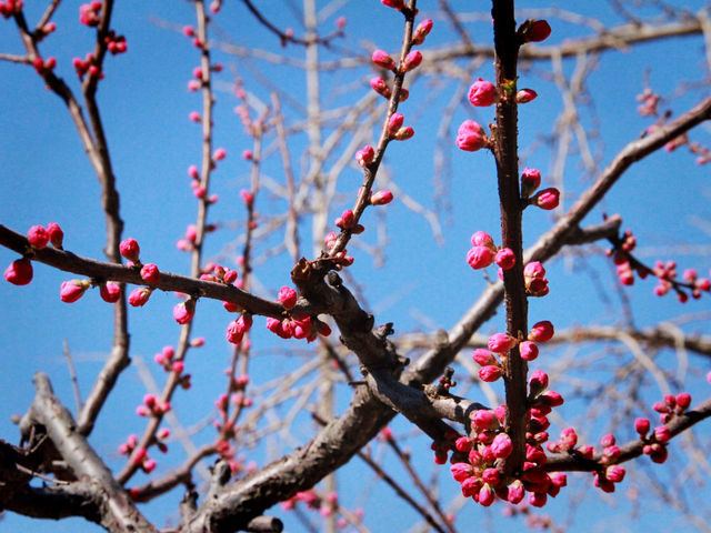 Fenghuangling Nature Park
