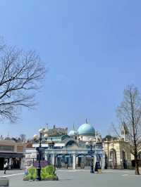 Review Everland 🎡
