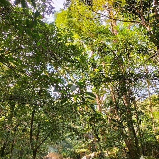 Waterfall Gunung Ledang (AIR TERJUN)