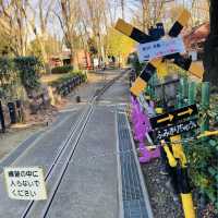 【祐天寺】世田谷公園 - SLが見れる交通公園 -