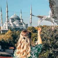 🌟 The Majestic Hagia Sophia 🕌🇹🇷