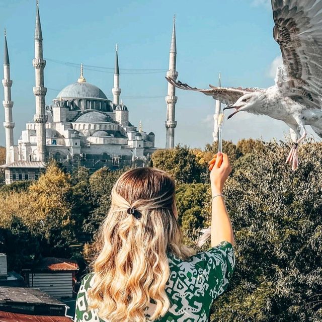 🌟 The Majestic Hagia Sophia 🕌🇹🇷