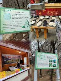 A Scenic Shaolin Adventure: From Cable Cars to Geological Wonders