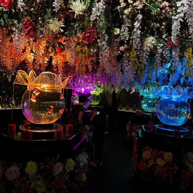 A Mesmerizing Experience at Art Aquarium Museum Ginza