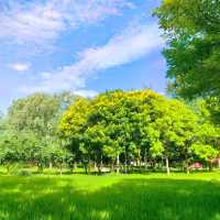 【8月好去處】李塔景區：湖光山色，享受桃花源般的自然勝地