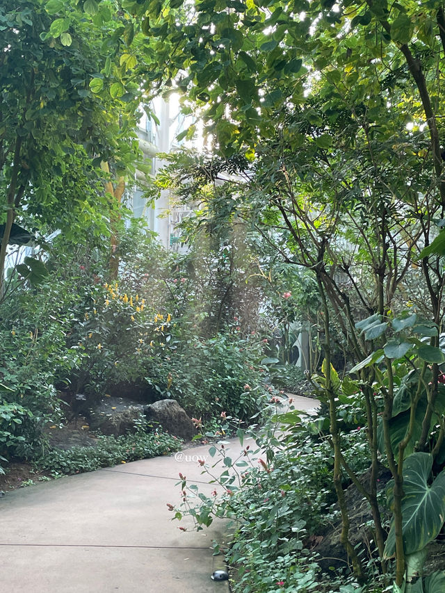 🌿스페인 알함브라 궁전 정원을 모티브로 한 국내 수목원?!