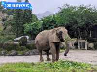 台北-大人小孩都喜歡的最佳親子景點：台北市立動物園