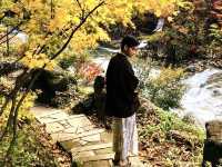 ธรรมชาติที่มหัศจรรย์สร้าง🍁”Takaragawa Onsen“