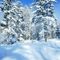 Snow Valley 雪谷( ตั้งอยู่ในเขต Wuchang) 