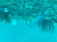 🌊天草市牛深町の美しい海🌊