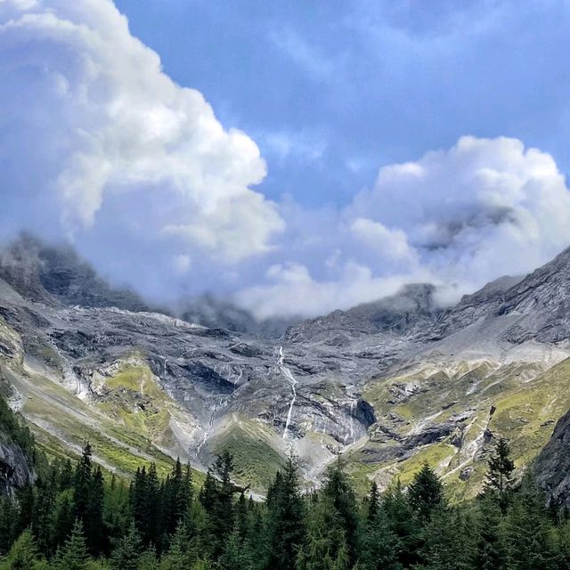 Grassland and Mountain 