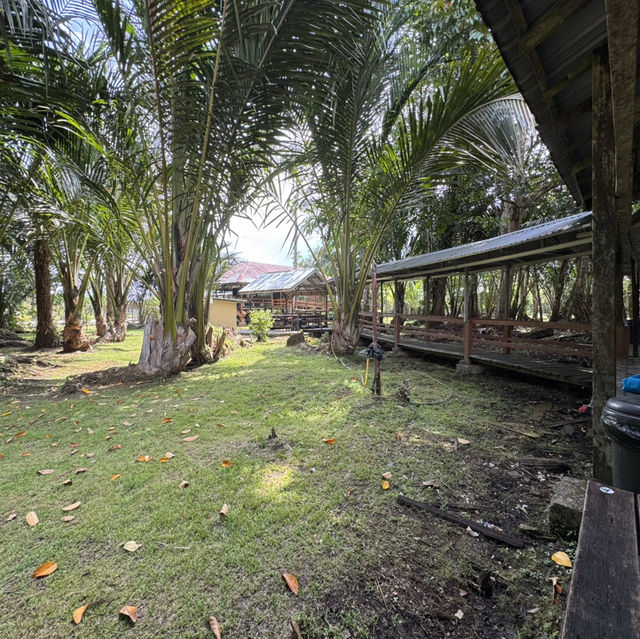 One of the iconic hot spring in kuching - Kampung Panchor Hot Spring