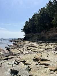 佐久島-アートと自然が融合した島