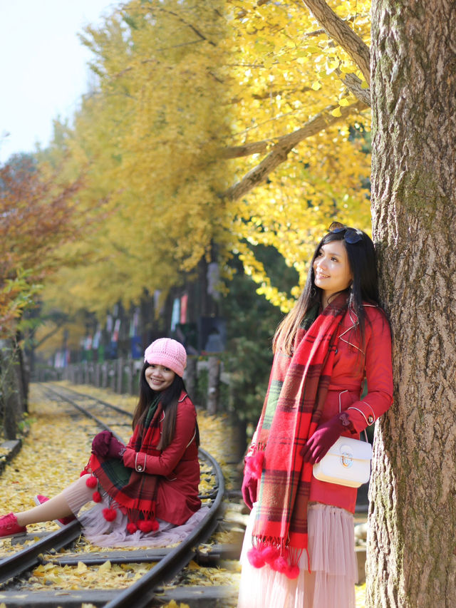 Essential Travel Checklist for an Autumn Adventure to Nami Island