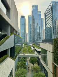 Exploring Shenzhen: A Cityscape Adventure with Night Lights and Unique Experiences