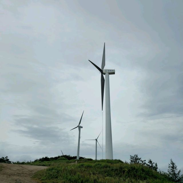 여름여행 태백의 매봉산 바람의 언덕