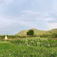 #ที่พักglamping ไปเขาใหญ่ห้ามพลาดร้านนี้ ✨ 🌳