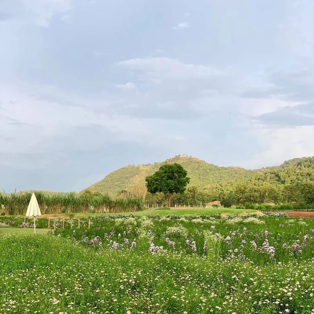 #ที่พักglamping ไปเขาใหญ่ห้ามพลาดร้านนี้ ✨ 🌳