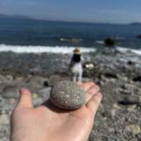 塔門輕鬆半日遊 有山有海治癒行 詳細交通資訊