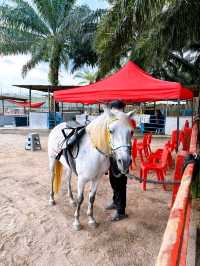 Outdoor Adventure at Desaru Mini Zoo