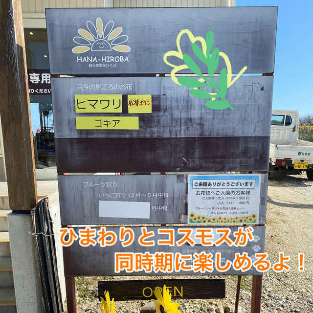 知多半島の旅　観光農園「花ひろば」