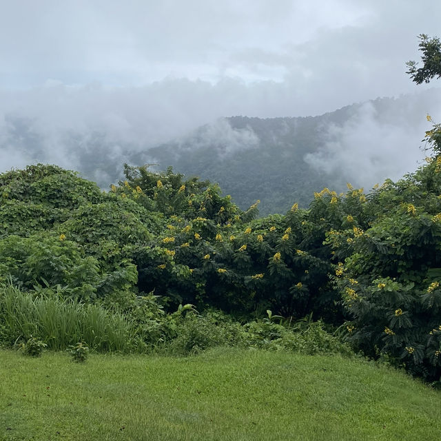 อุทยานแห่งชาติเขาใหญ่ | KHAO YAI National Park 