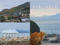 日本的貓島-男木島