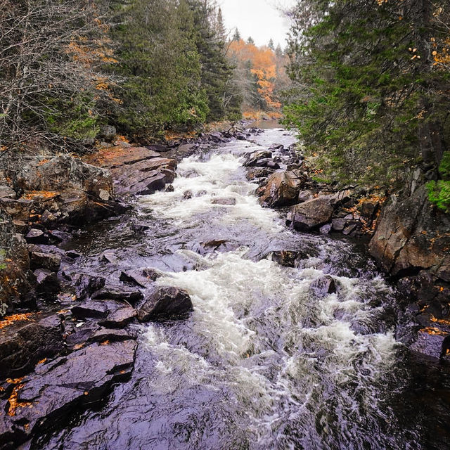Autumn in Quebec: A Symphony of Colors