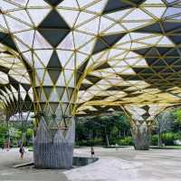 🌿 Revisited an urban green lungs, the Perdana Botanical Gardens, KL.