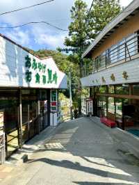 【埼玉県】アスレチック気分で長瀞散歩