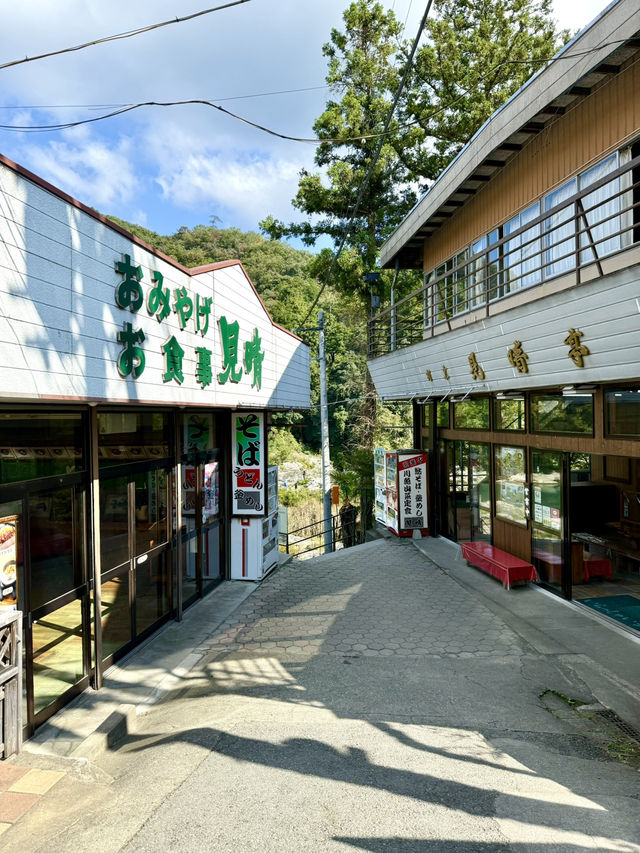 【埼玉県】アスレチック気分で長瀞散歩