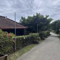 【沖縄】いろんなことがひとつの場所で体験できる⛱️🏝️