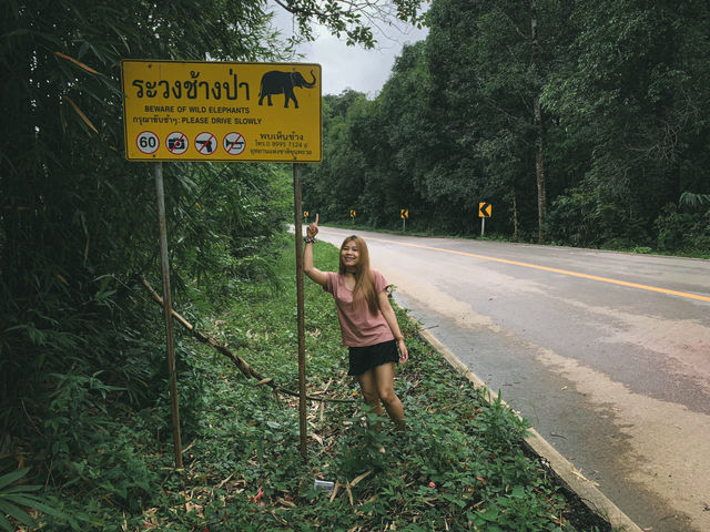 ถนนสาย 1175 บ้านตาก-แม่ระมาด