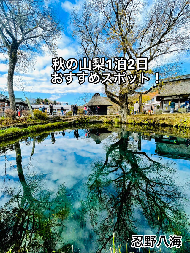 【秋の山梨1泊2日旅】 リフレが素晴らしいおすすめスポット！