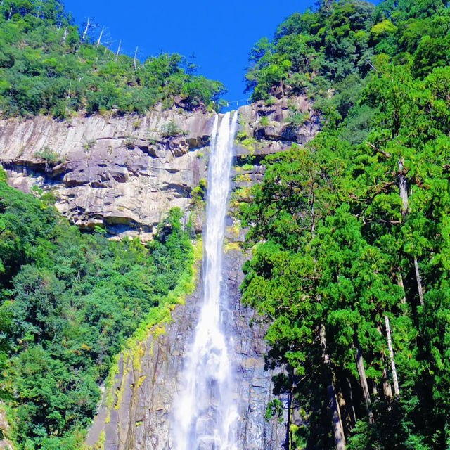 【和歌山】落差日本一の名瀑！那智の滝