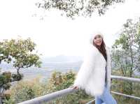 ทะเลหมอกภูทอก