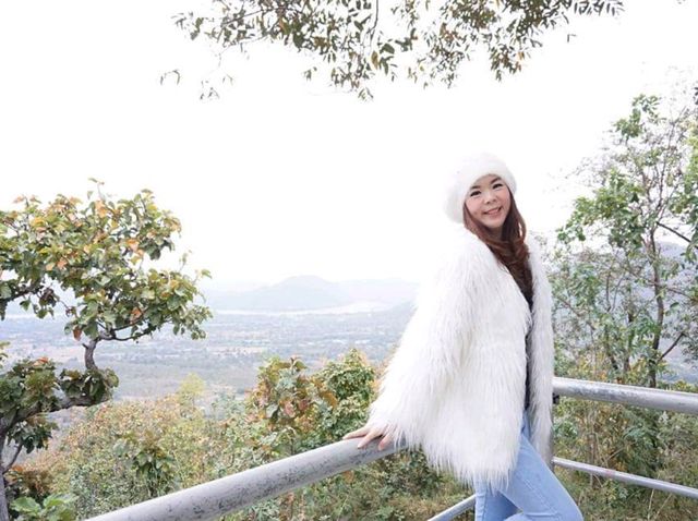 ทะเลหมอกภูทอก