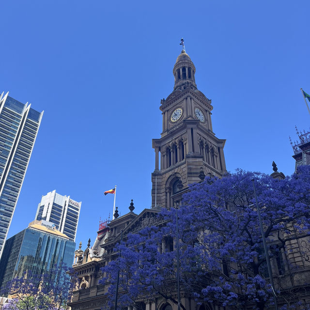 シドニー4泊5日旅✈️🇦🇺旅行計画✔