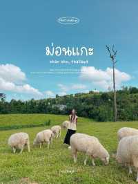 ไปให้อาหารน้องแกะที่ ม่อนแกะ เขาค้อ กัน 🌳🐑 