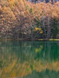 【長野】水面に映り込む超神秘的や紅葉絶景✨✨