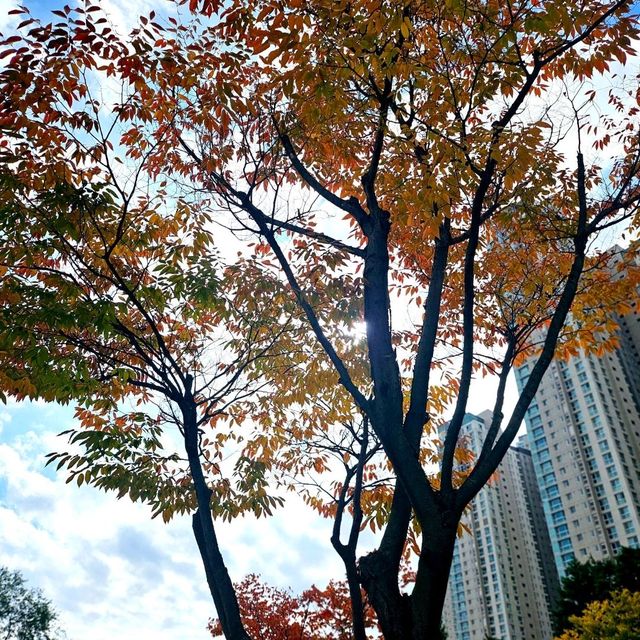 광교호수공원으로의 야외데이트❤️