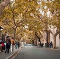 Shanghai Citywalk but in Autumn