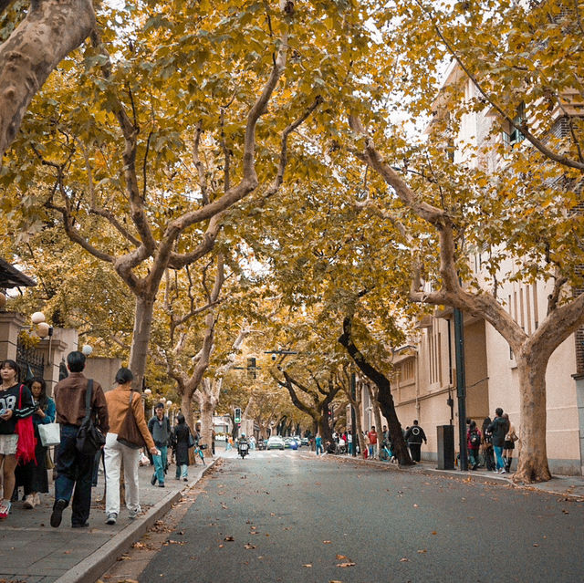 Shanghai Citywalk but in Autumn