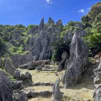 【沖縄】沖縄本島最北端！！！自然のパワースポット🌳